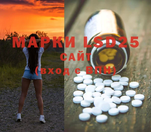 амф Липки