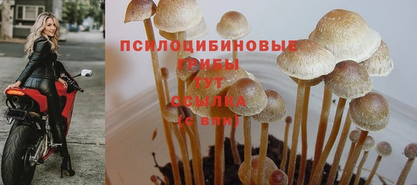 амф Липки