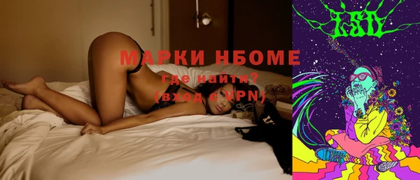 амф Липки
