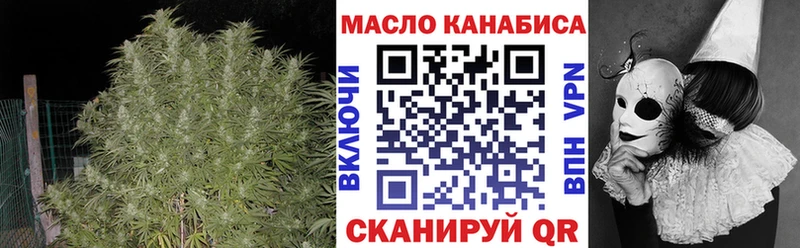 мориарти клад  Питкяранта  ТГК вейп с тгк  где можно купить  