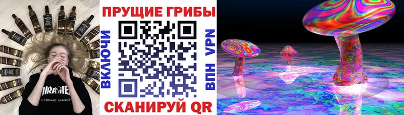 наркотики  Питкяранта  Галлюциногенные грибы ЛСД 